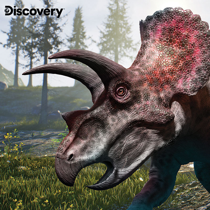 Prime 3D Discovery Triceratops Puzzle