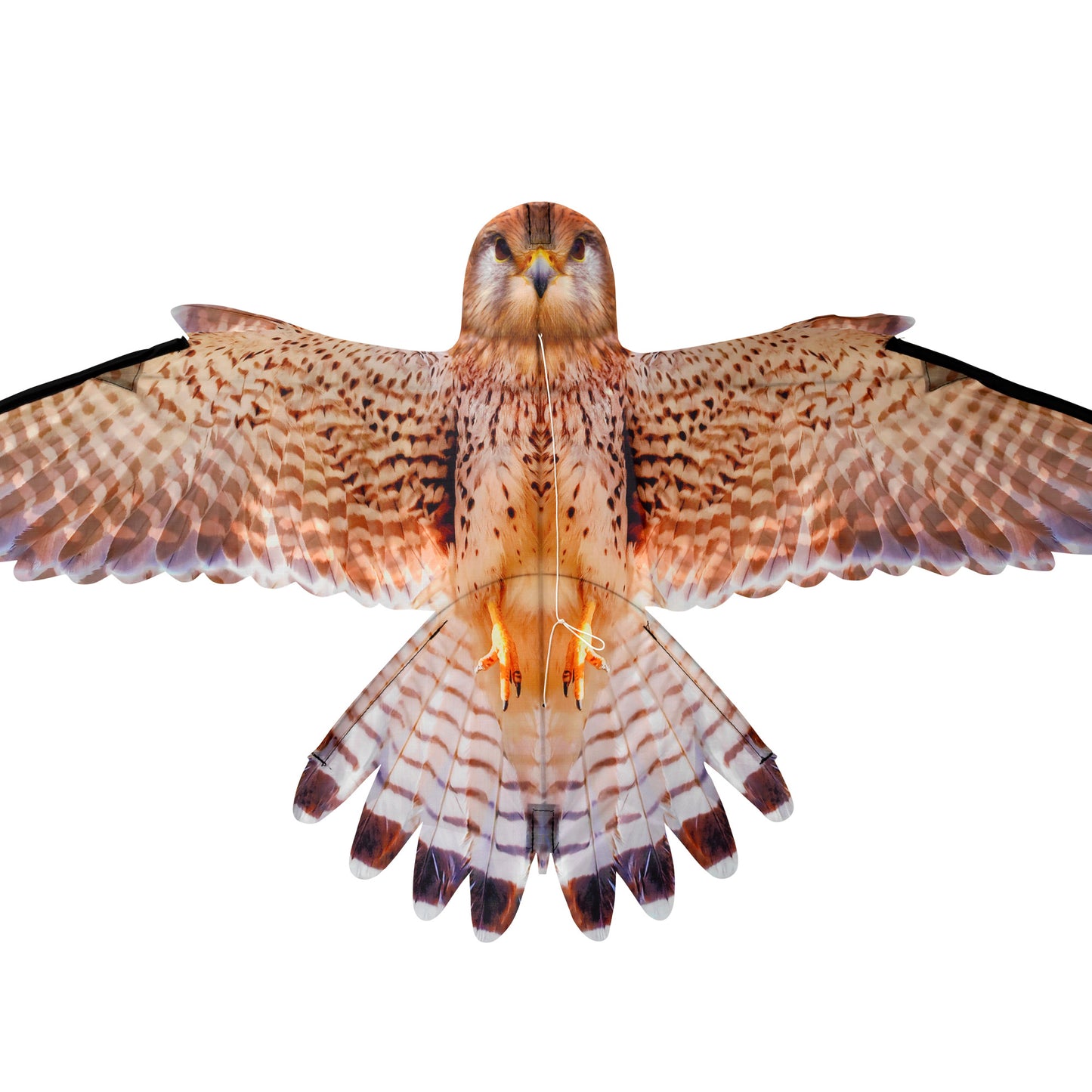 Brookite Kestrel Fun Kite