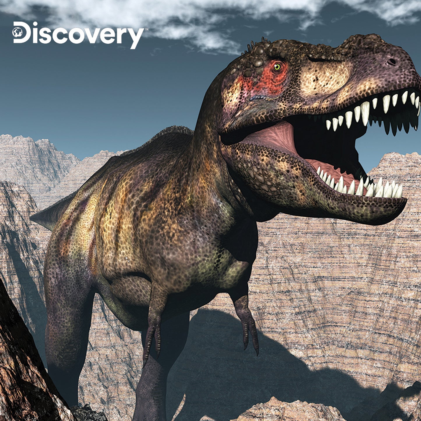 Prime 3D Discovery Tyrannosaurus Rex Puzzle