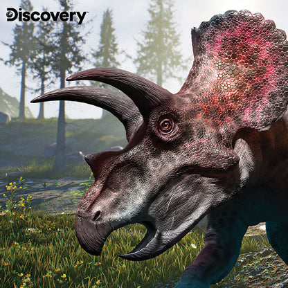 Prime 3D Discovery Triceratops Puzzle