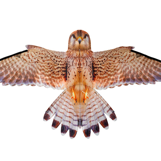 Brookite Kestrel Fun Kite
