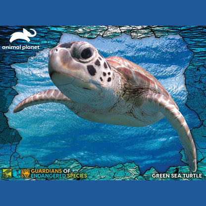 Prime 3D Animal Planet GES Green Sea Turtle 100 Piece Puzzle