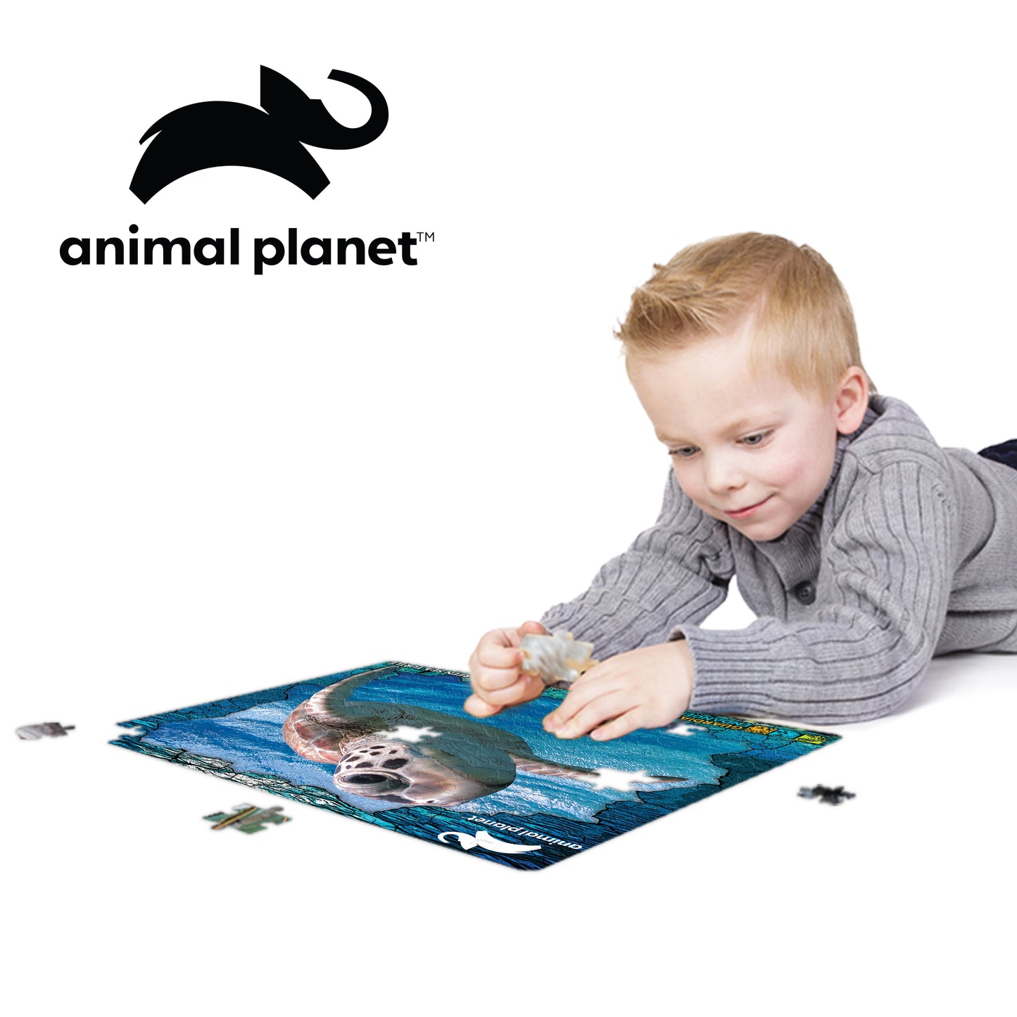 Prime 3D Animal Planet GES Green Sea Turtle 100 Piece Puzzle