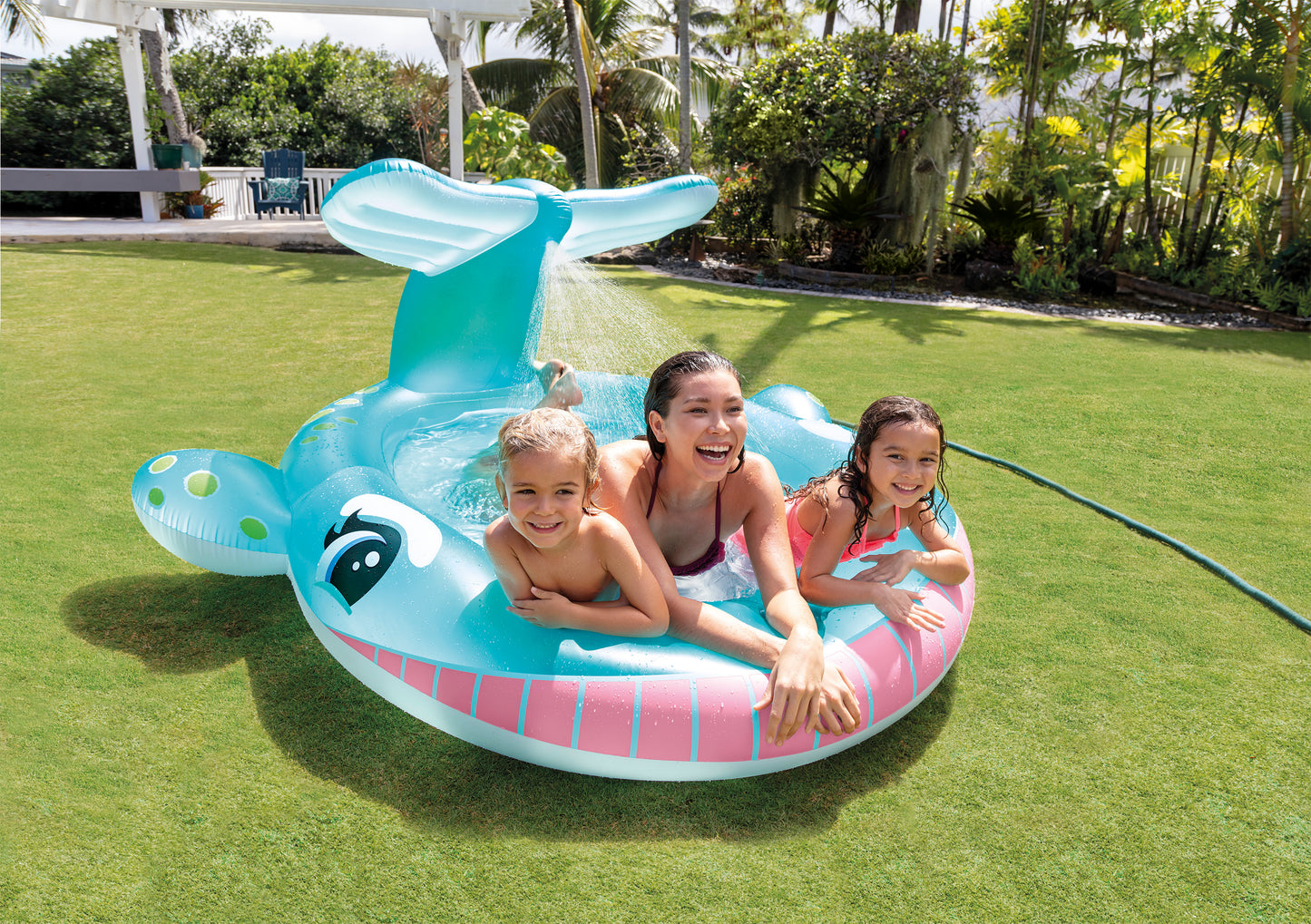 Whale Spray Pool