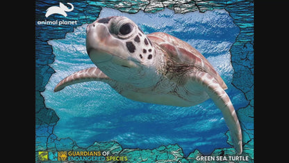 Prime 3D Animal Planet GES Green Sea Turtle 100 Piece Puzzle